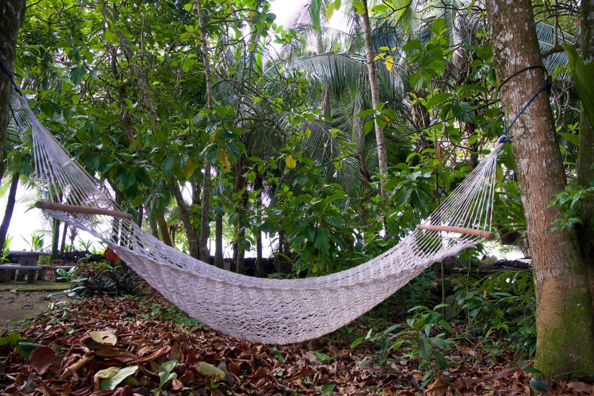 Casa Mamre Pansiyon Cahuita Dış mekan fotoğraf