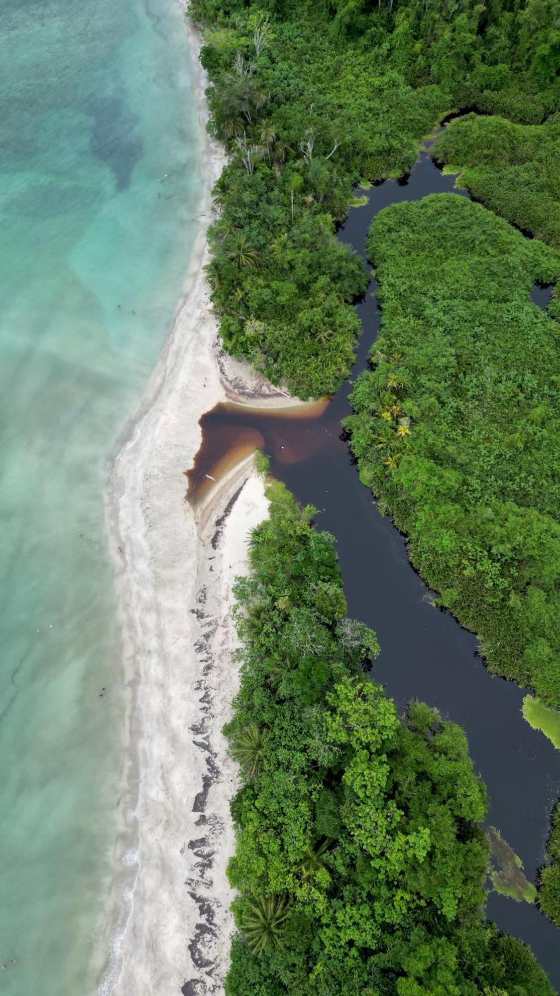 Casa Mamre Pansiyon Cahuita Dış mekan fotoğraf