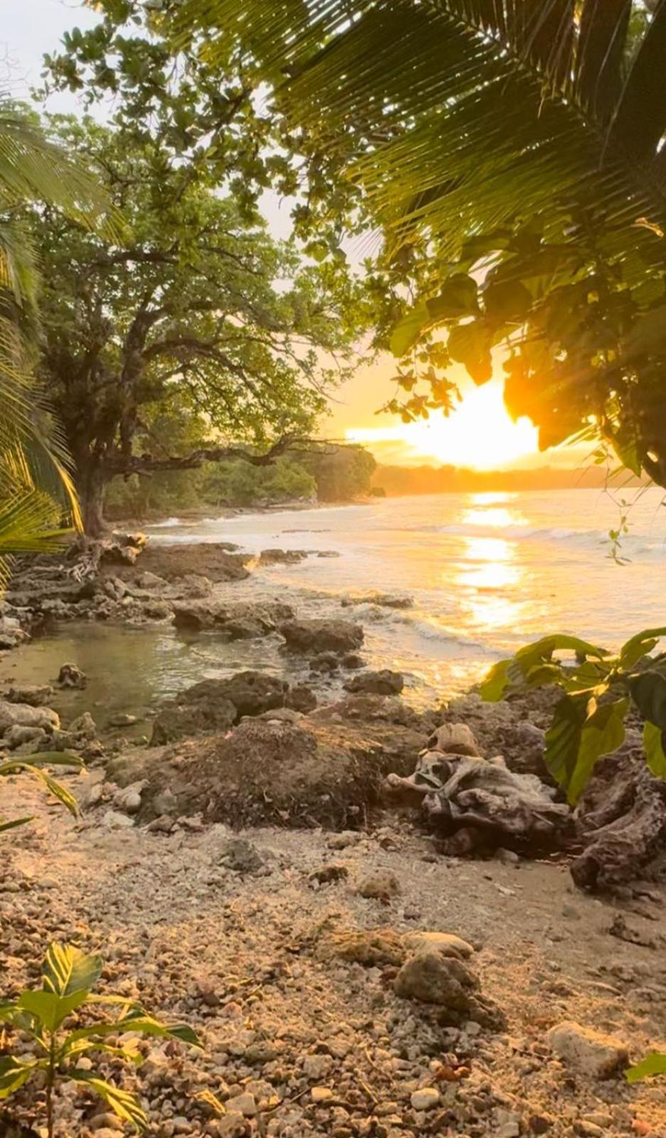 Casa Mamre Pansiyon Cahuita Dış mekan fotoğraf