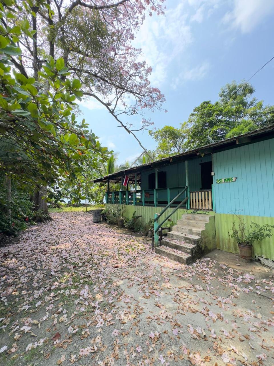 Casa Mamre Pansiyon Cahuita Dış mekan fotoğraf