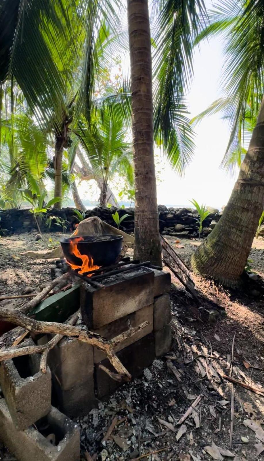 Casa Mamre Pansiyon Cahuita Dış mekan fotoğraf